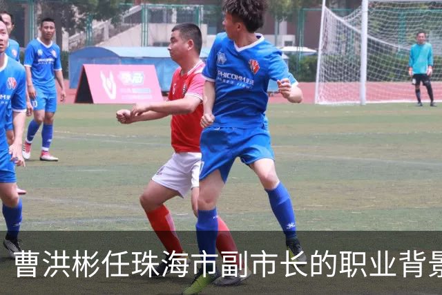 曹洪彬任珠海市副市长的职业背景及职责分析